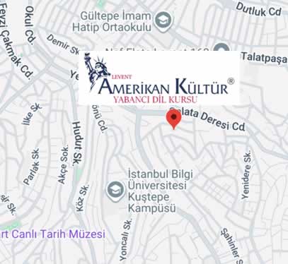 google harita
